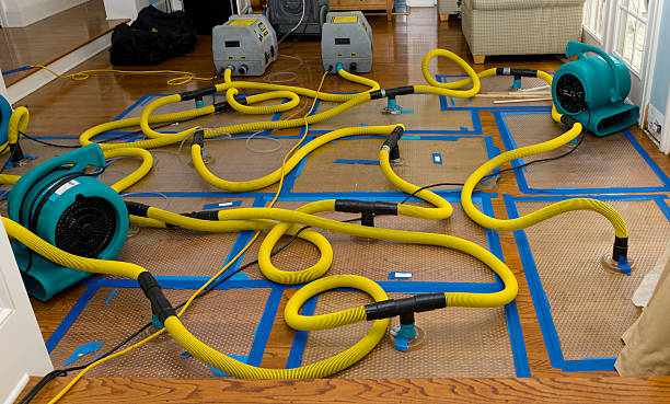 Professional Burst Pipe Water Damage technician working in Bloomington, MN